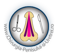 implantarea penisului dacă o erecție este mai frecventă în timpul zilei